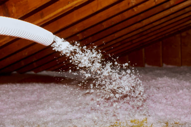 Best Insulation Installation Services in Dandridge, TN