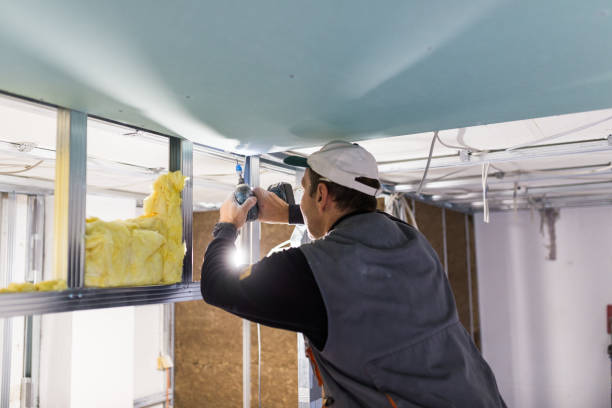Best Insulation Installation Services in Dandridge, TN