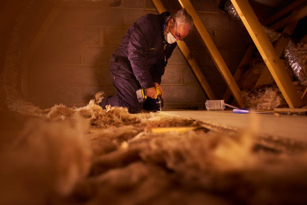 Best Insulation Maintenance and Repair in Dandridge, TN